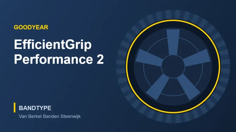 Goodyear EfficientGrip Performance 2