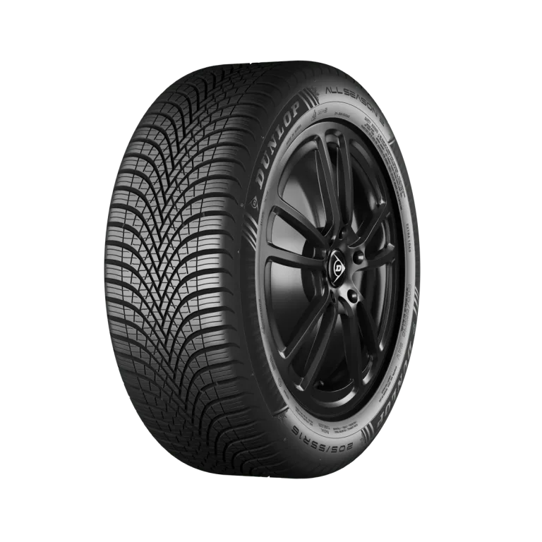 Dunlop All Season 2