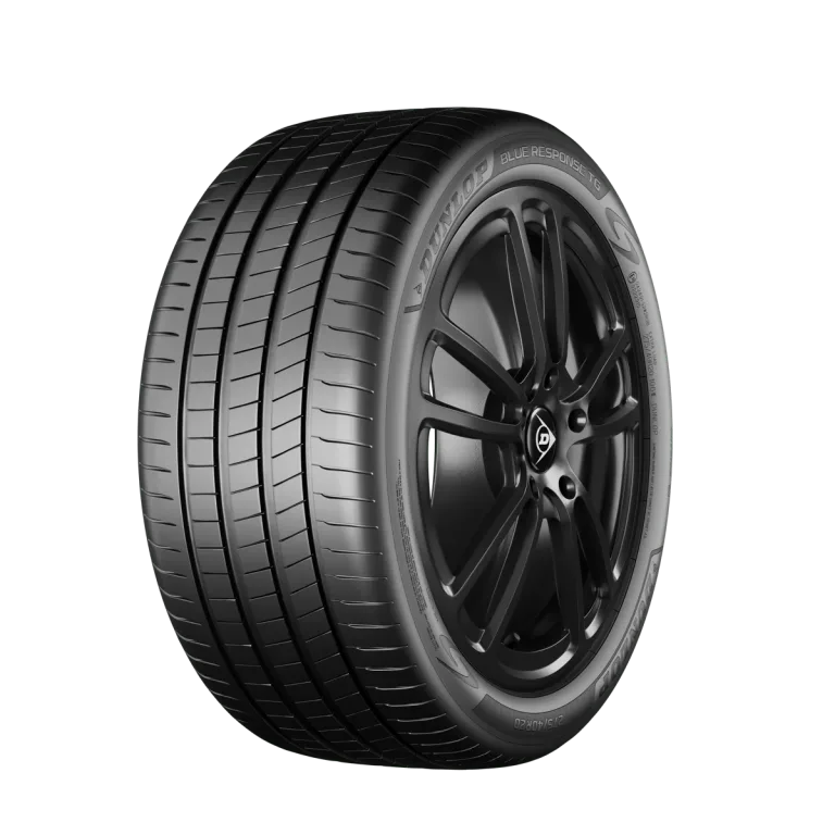 Dunlop Blue Response TG