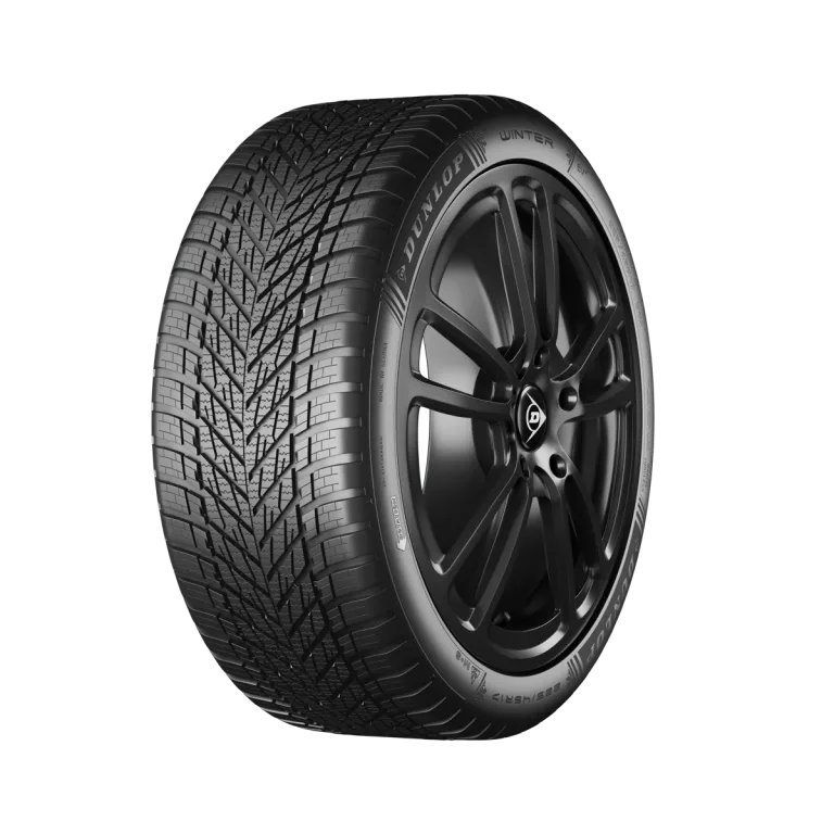 Dunlop Winter