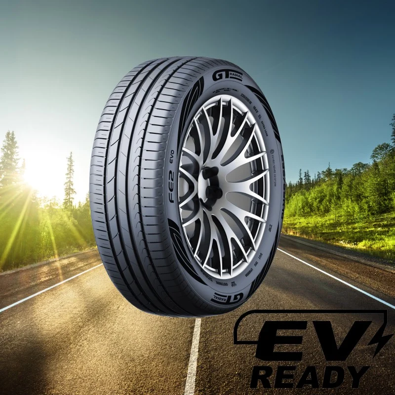 GT Radial FE2 Evo zomerband