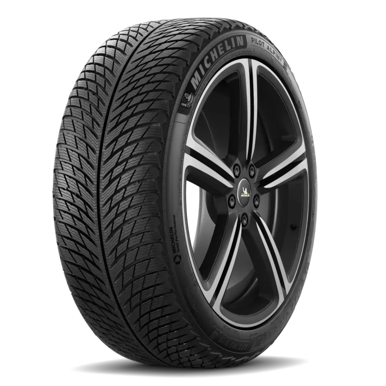 Michelin Pilot Alpin 5